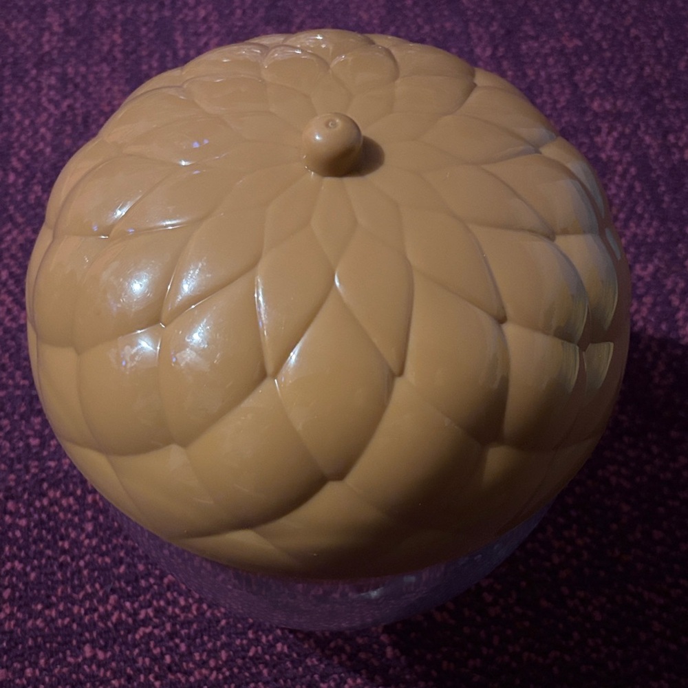 Acorn plastic container